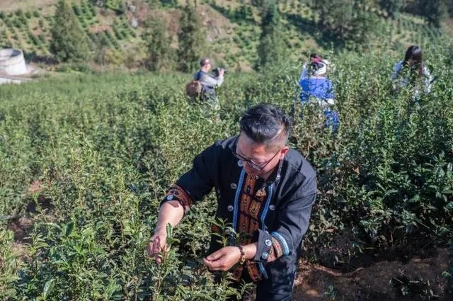 2024���F�ݾG�衰ǭ�X�_�輾������