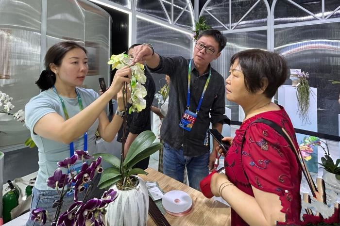 �_�����ܘI�߅��ӳɶ����@�� �����Ӄɰ��a�I����