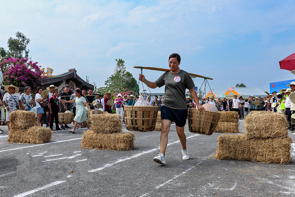 �ؑc���㣺���g���^�c�S��