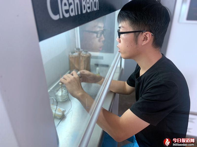  ؚ����׃�������ϰ塱