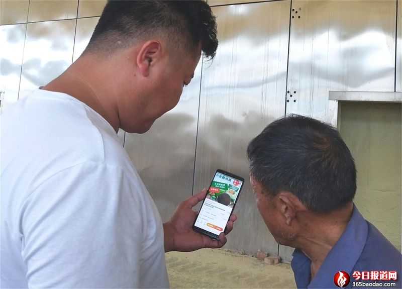 網店平臺 (1).jpg