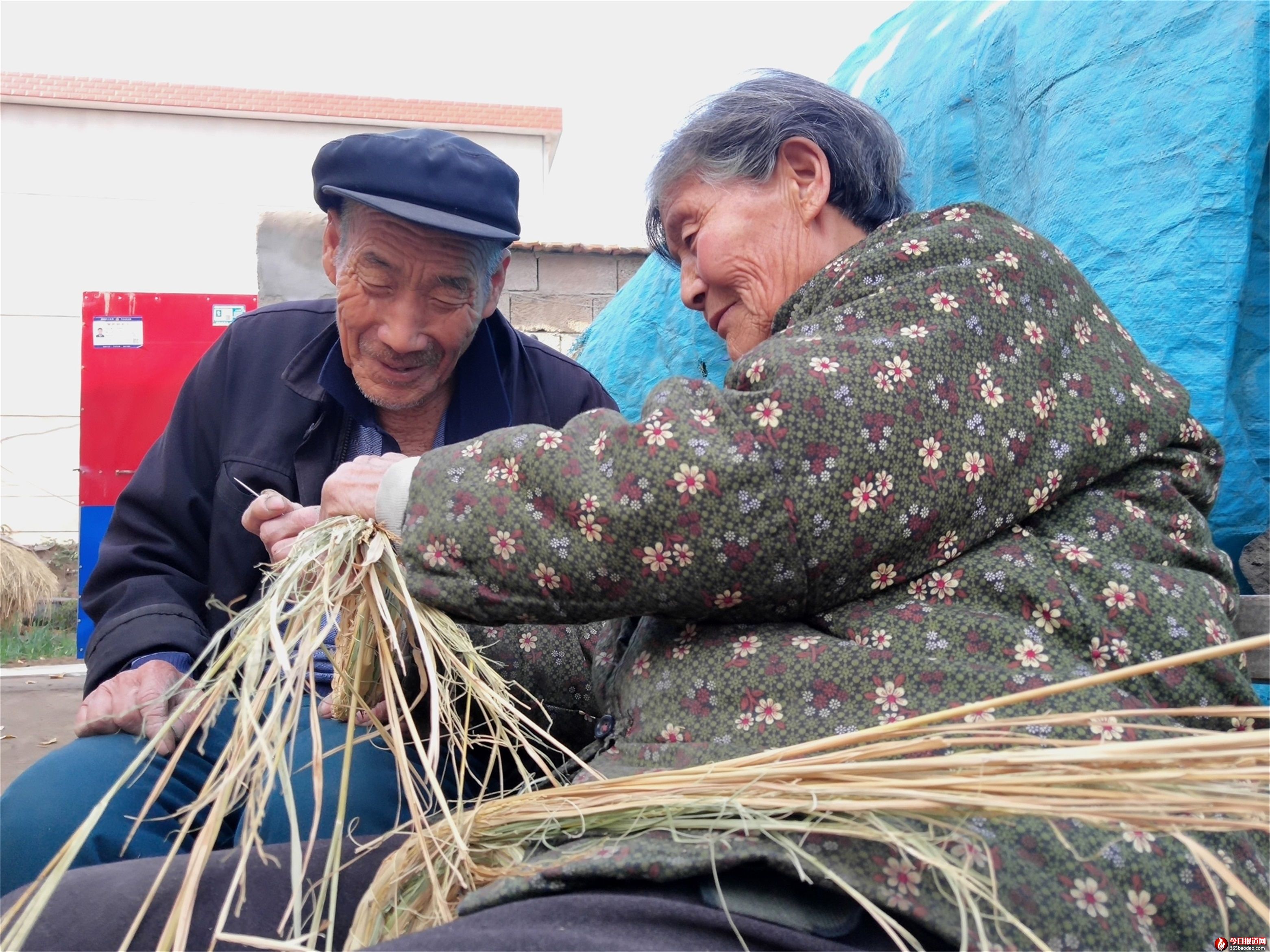 �F��ָ�� (1).jpg