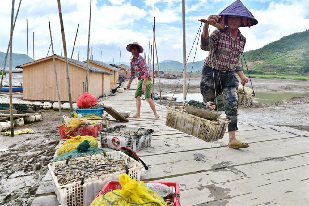 ����Ϫ��������O����ɫ �ӿ��l�����d