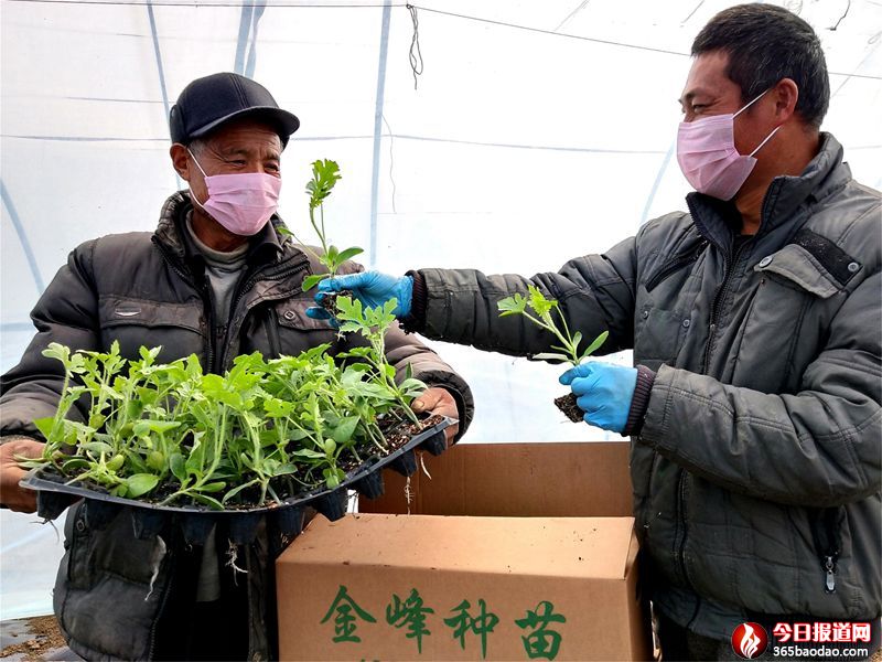  ɽ�|۰�ǣ��ƌW(xu��)�����ɲ��` ��(zh��n)�߷N�Ϟ顰�p�A��