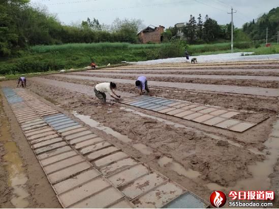  ����ʡ���Ͽh�r�񌣘I�����珊���ϓ�ץ�絾���aæ����