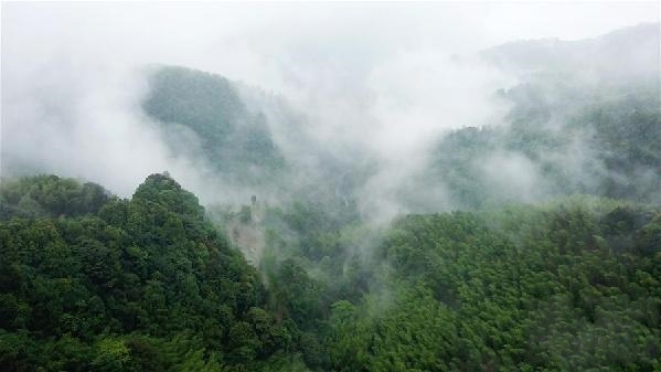 �F���ׂ���ժñ�h���������l�塰����Ⱥˡ�