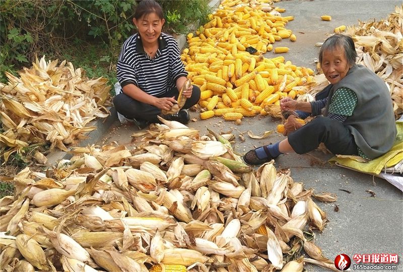 �����ײ�Ҫ�X��ɽ�|۰���r���֡������a�������¸�·