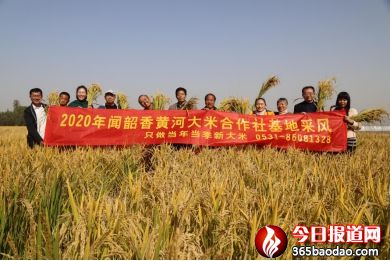 ǧ�����_  ��������&mdash;&mdash;2020�����������S�Ӵ��׺�������ز��L��ӛ1049_����.jpg