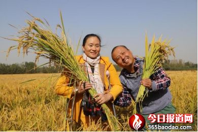  ǧ�����_  �������㡪��2020�����������S�Ӵ��ײ��L��ӛ