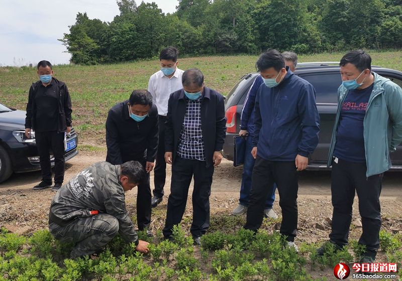 ������ʡ����h���Ŀ���O��֧�δ��M�������������������