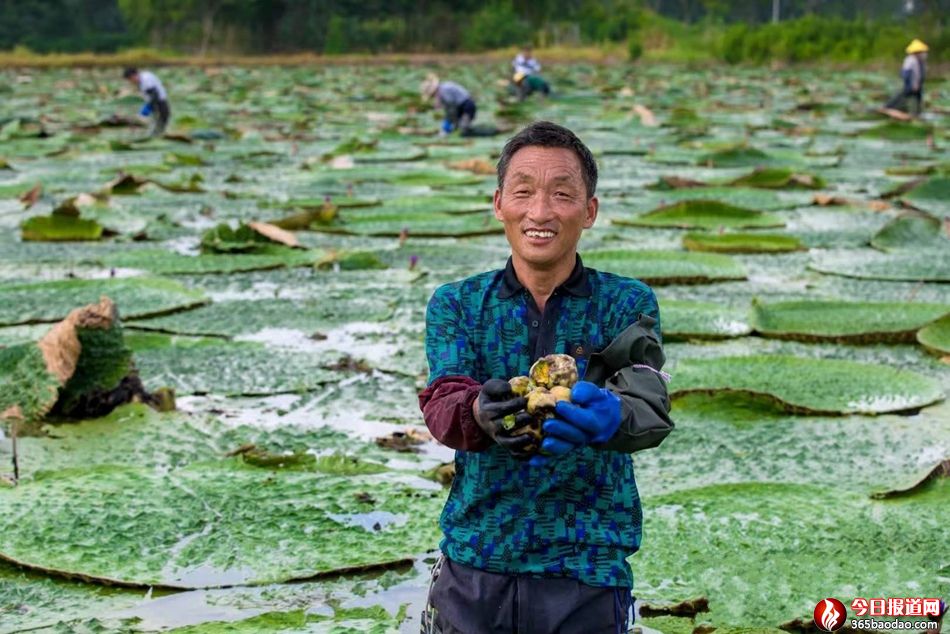 ���K�������͌�(sh��)����ۏ���¸�·