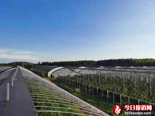 ɽ�ƌW�������l(xi��ng)�����댍�� �����ഺ�۽��l(xi��ng)�����d�������A��֮��840.png