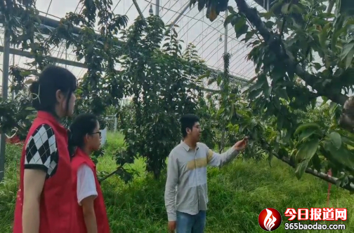 ɽ�ƌW�������l(xi��ng)�����댍�� �����ഺ�۽��l(xi��ng)�����d�������A��֮��811.png