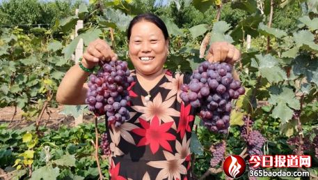    �ӱ��w�������Ѳ�ժ�����r