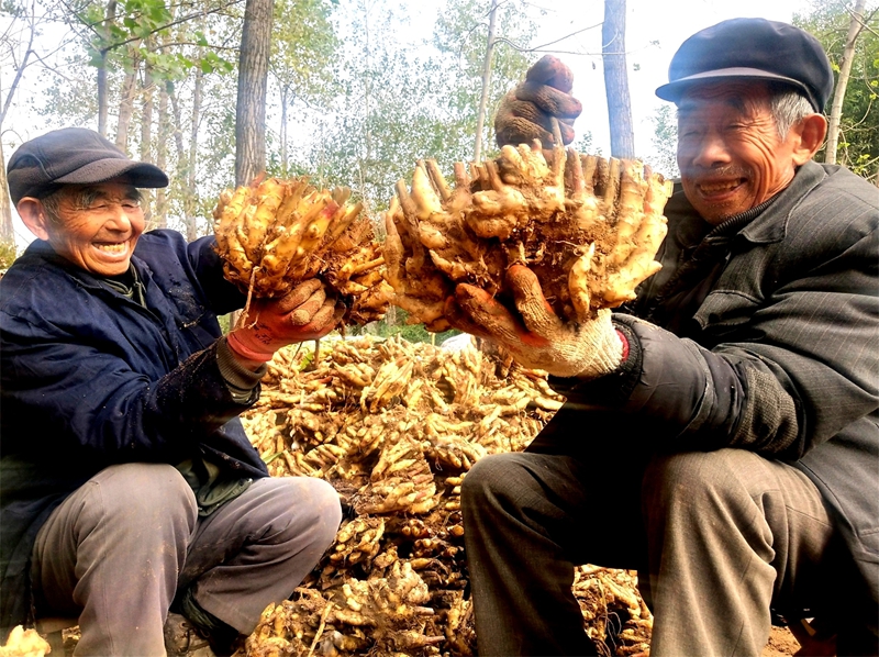 ���S�՘�����