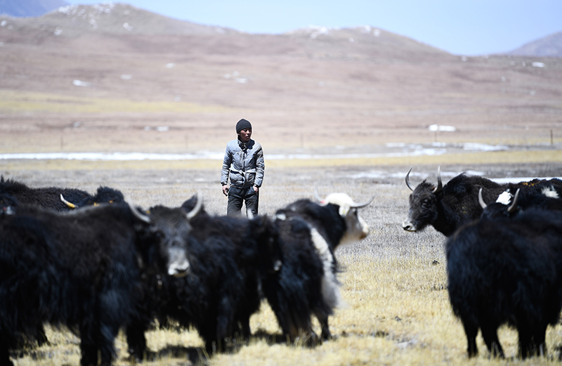 �ຣ�����B(t��i)�����I(y��)���M(j��n)���^(q��)�l(xi��ng)�����d