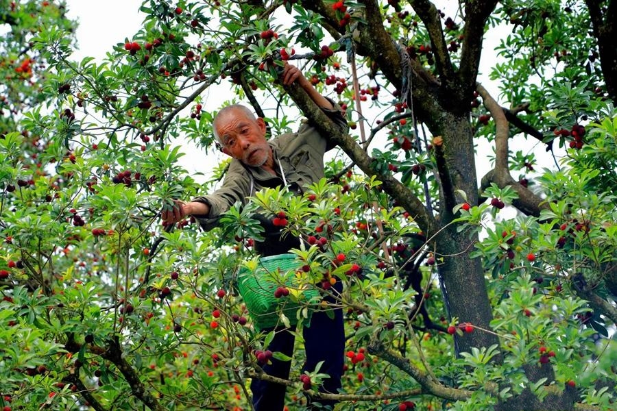 �㽭�ɾӣ���÷�t�r÷�r��