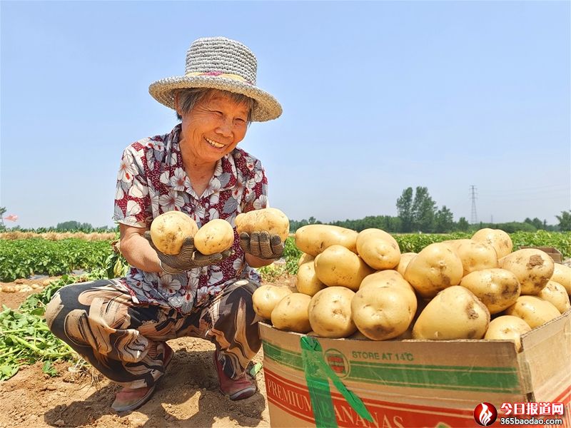  �����@�S�� �ʬF(xi��n)�á��S����