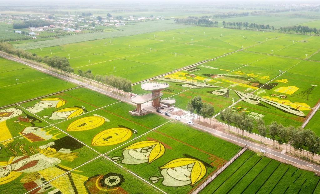 ���ɹ����l���죺�r���ں������l�����d