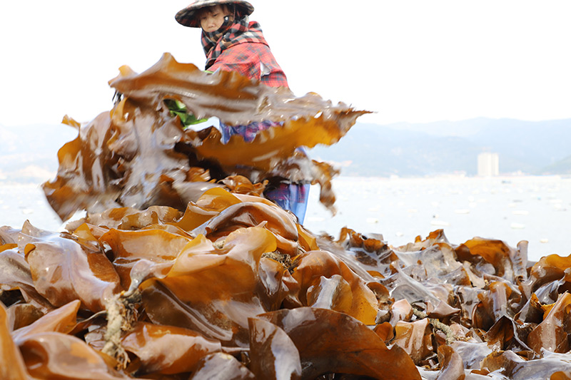 �����B��������a�I�����l�����d