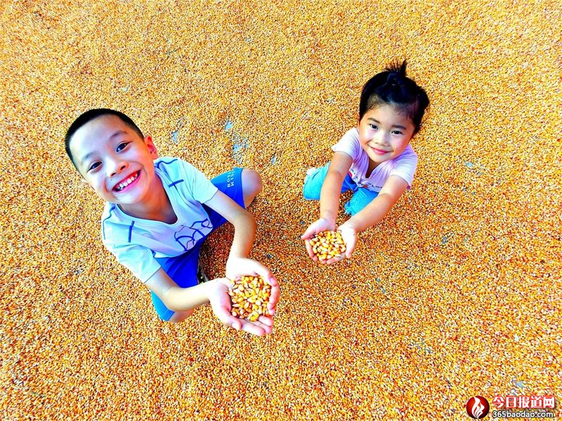  ����Ó��æ �������S