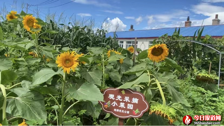 �t���l(xi��ng)̫ƽ����������a(b��)��� - ��(f��)��1868.png