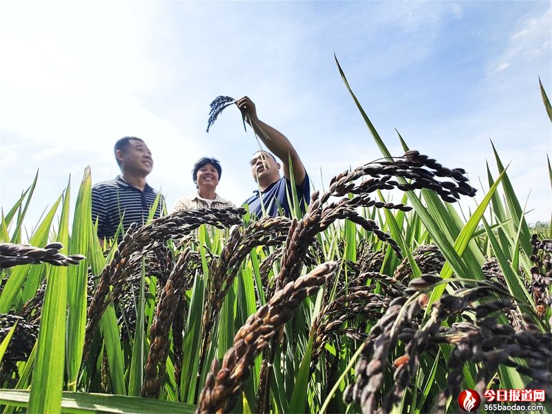  ۰�ǣ���ʵ�ϲ�@���p�S�ա�