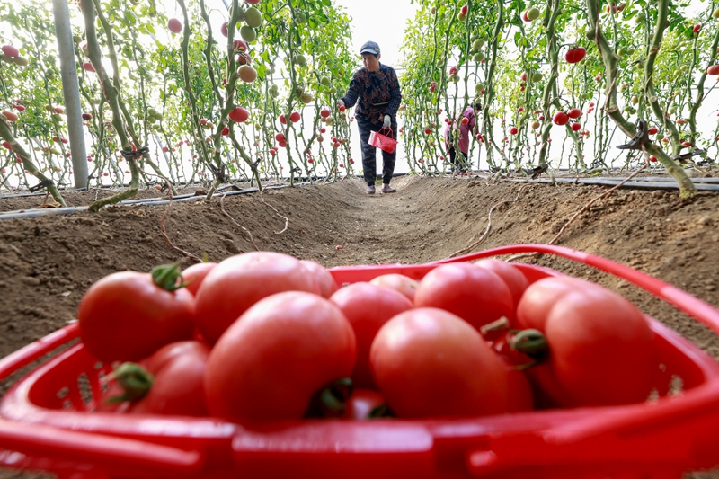 2024�´��߻��� | �ӱ��������� �r(n��ng)��æ