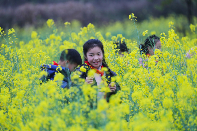 ����������n�á��ᡱ����Ұ��