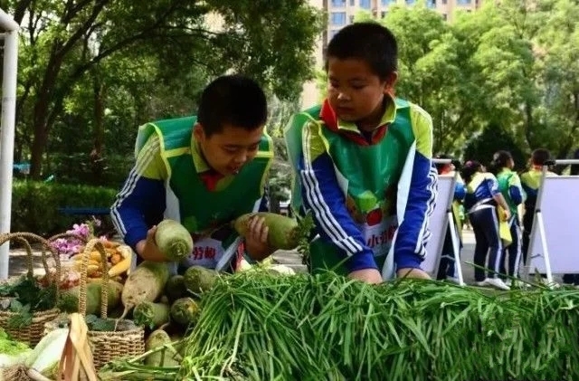 ����9����ÿ��(g��)��С�W(xu��)����Ҫ�W(xu��)�������������늡��N���B(y��ng)�ݡ���