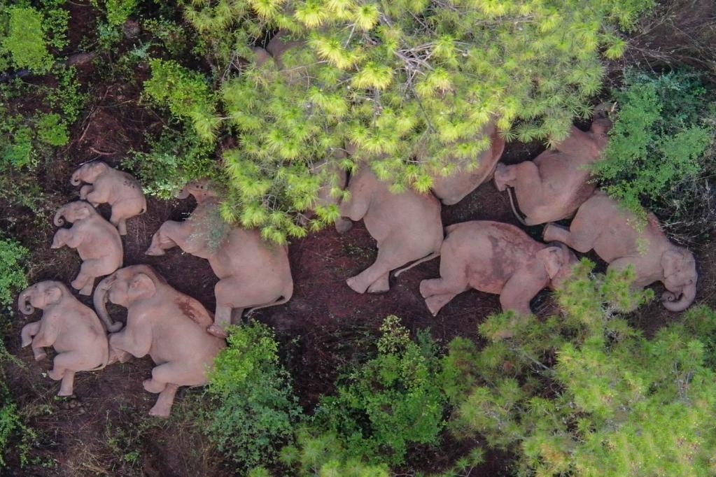 ���ό��������w��������u�����m�˗�Ϣ��