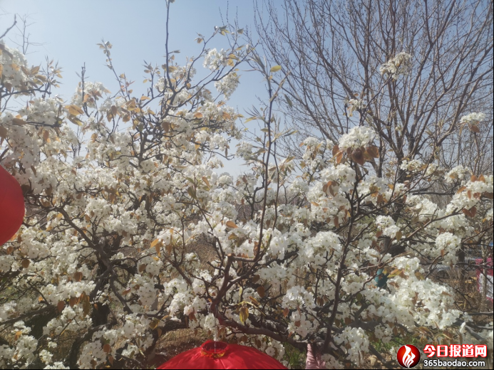 �滨�wѩ  �ÿ͌��0330351.png