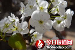 �滨�wѩ  �ÿ͌��03301221.png