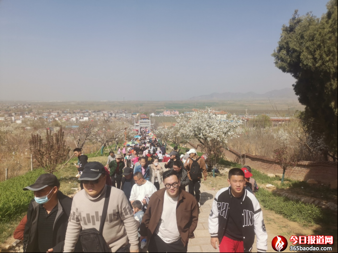  �滨�wѩ  �ÿ͌��   �ڶ�ʮ����ɽ�|����滨��ʢ���_Ļ