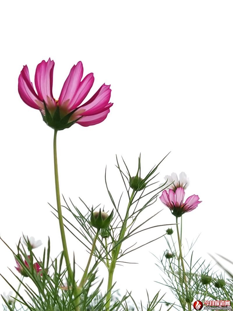 ��ɣ��3 (1).jpg