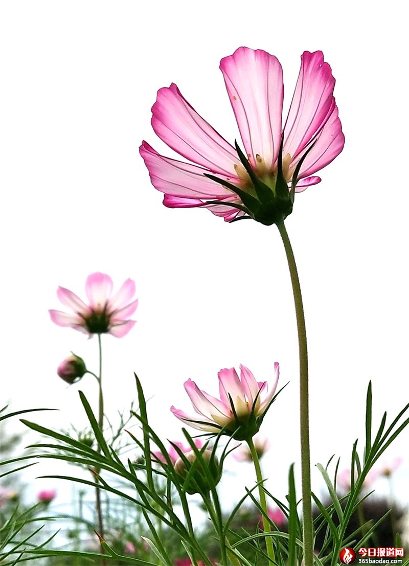 ��ɣ��4 (1).jpg