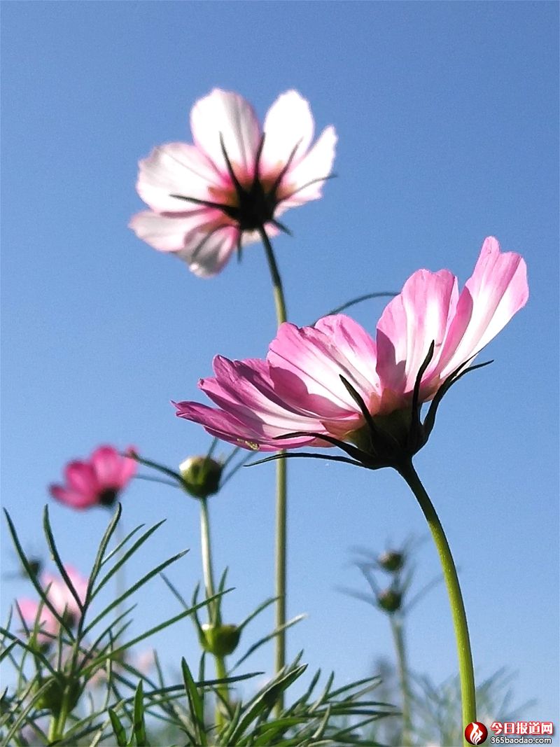 ��ɣ�� (1).jpg