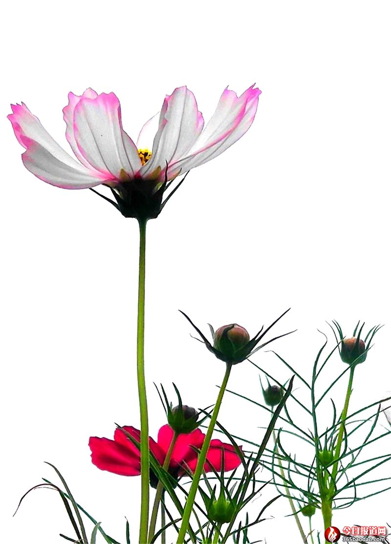 ��ɣ��0 (1).jpg