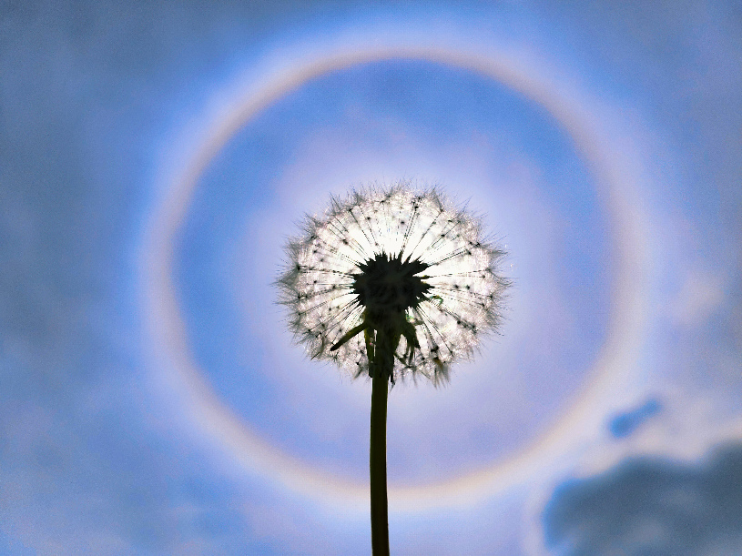 �����Օ���