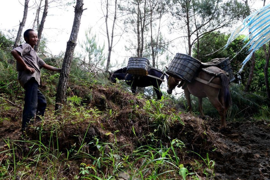 ��������ɽ�^���R�͡��\؛