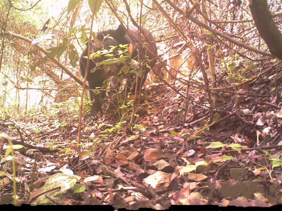 �ܳ��](m��i)���㽭��ɽ�״ΰl(f��)�F(xi��n)����