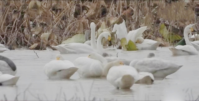 ���B(ni��o)���١��϶�ͥ�����ؚw��Ȼ�ɾ͵������