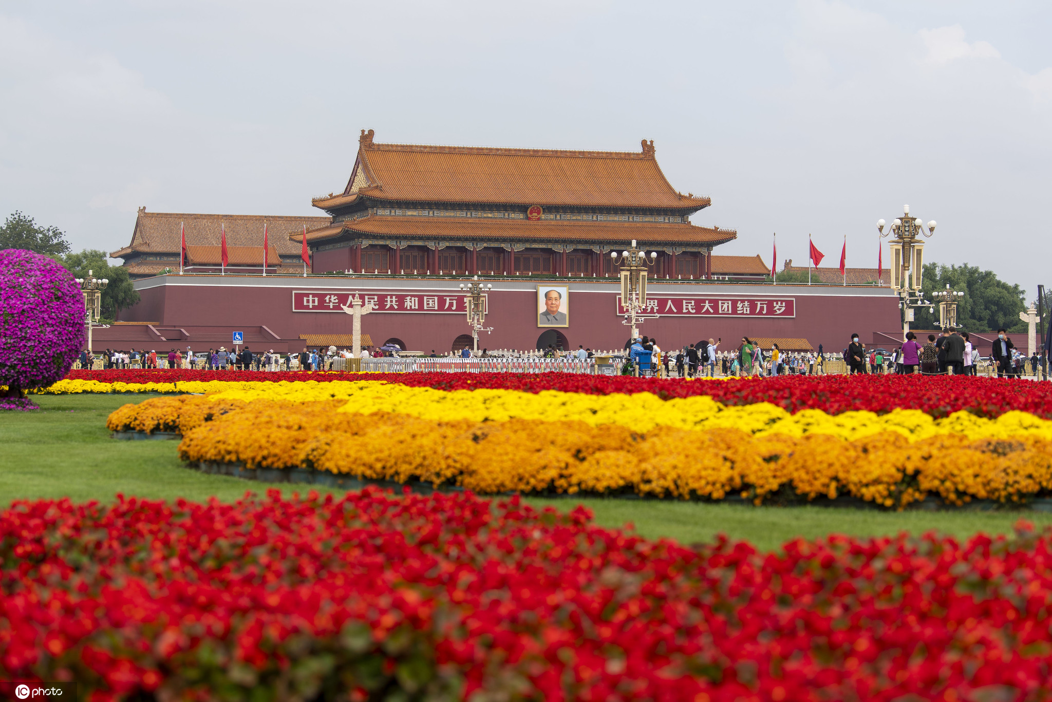 ���c���� ȫ�����ؽ��^�t���h�h