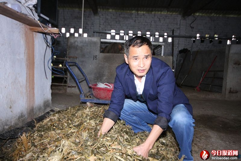 �V�������@λ܊�D�ɲ���һ��ӛ�����ɸ�&ldquo;ʮ��Óؚ�\��&rdquo;��ؚ����Óؚժñ (6).JPG