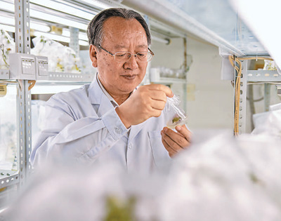 ������ʮ�������ڽ�Q�������������r���y������һ·�򱱵ġ����������