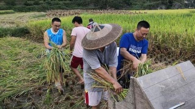 ����ʿ��ӛ���΄���������r(n��ng)�塰����ҡ�