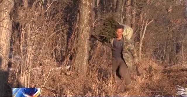 46����һ�����ְ��f�� ��Ӣ�ƣ�����һ������ɽ