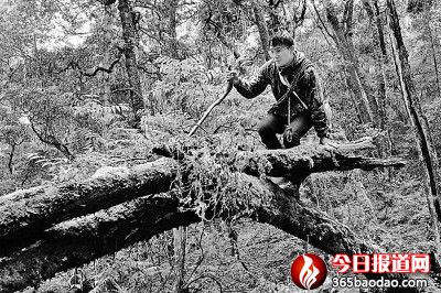 �ܽ^����ƽ�����^�����������