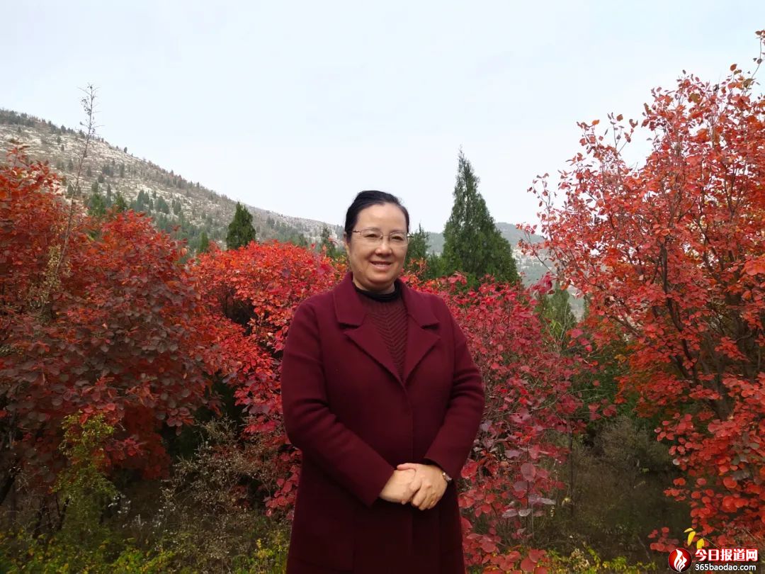 �������m | ���᣺��ʮ���d�Ƹ��� �̝��W(xu��)������