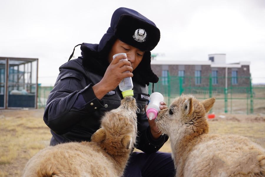 ���M�ɿ�����Ұ�������������